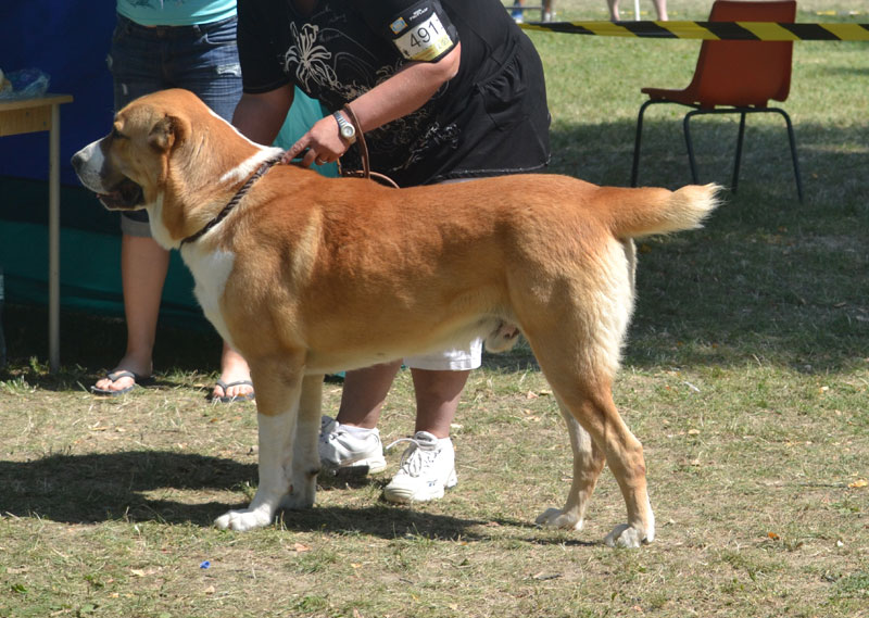 eliash21082011-2.jpg